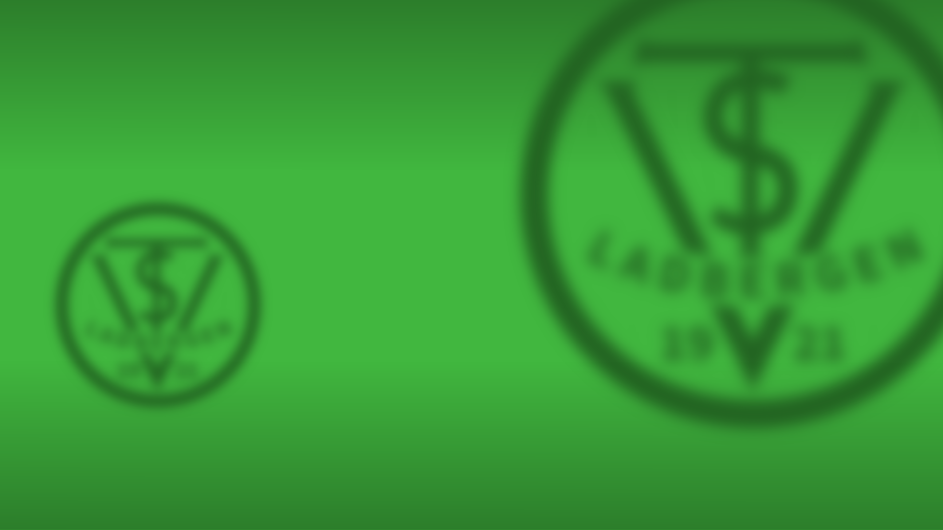 Hintergrundbild mit TSV-Logo